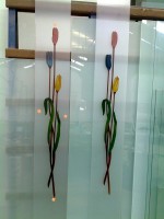 /album/galeria-de-imagenes/tulipanes-jpg1/